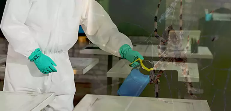 Why Buyers Still Want Homes With Pest Infestations in Fayetteville, NC?