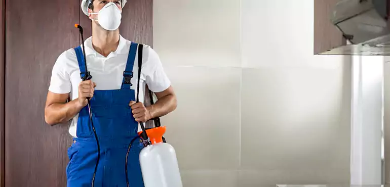 Why Fayetteville Homeowners Choose Us When Pests Make Selling Difficult